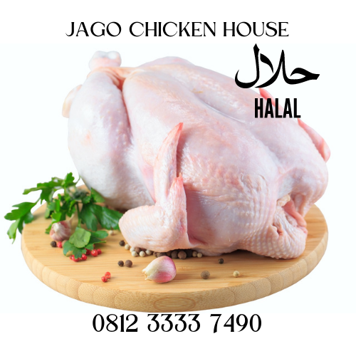 Daging Ayam Utuh 1 Ekor (800 gram)
